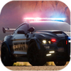 Police Car Parking And Driving(����ͣ���ͼ�ʻ)