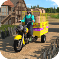 City Loader Rickshaw Games 3D(װس)v0.2 ׿