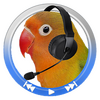 ���临����appͼ��