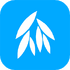 ����P+appV6.3.6 ��׿��
