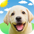 ��������������ˬ��appV1.2.0 2026�ٷ����İ�
