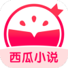 ����С˵�ֻ���app