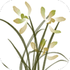 �滭��app��׿��