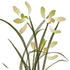 �滭��app��׿��2.1.4