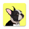 EveryDoggy(����ѵ��)