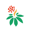 ����ͨapp