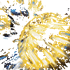 һͳ��������