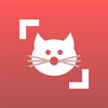 è�������(Cat Scanner)