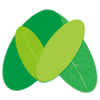 ����������ͼ��