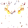 ��ʯ��ħ¼�������ֵIOS