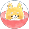 Kamio �ҵ���ߵ�