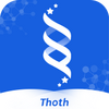 Thoth�ٴ�����