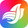 ����ǰ�app