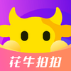 ��ţ����