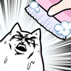�޲���ϴ����Ϸ