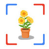 ����ʶ��app