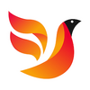 �����Ż�app