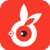 ���ñ����APP���°汾