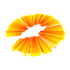 ��â�̾�app�ٷ��������°汾��׿��v8.4.3��׿��