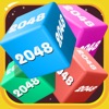 2048���װ�