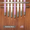 Kalimba Realͼ��