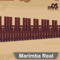 Marimba, Xylophone, VibraphoneϷ