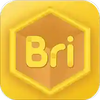 Bricubeѧ����app