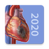 �����Ͳ���ѧGoogle Play�ڹ��汾(P&P)V1.1.06 2026�ٷ����İ�