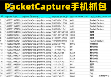 packet captureץ_packet capture apk