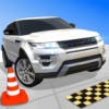 Real Drive 3D(3d��ʵͣ����)