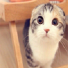 ��ҫ����5app