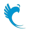 ��������app���°�
