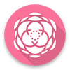 ������(THBWiki�ͻ���)