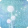 Becoming a Dandelion Spore(��Ϊ�ѹ�Ӣ������Ϸ)