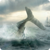 Ī�ȵϿ�Moby Dick