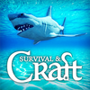 Survive on Raft(ľ������Survival on Raft)