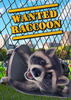 ��ͨ�������Wanted Raccoon���İ�