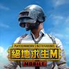 PUBG MOBILE(M)