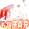 �Ž���������