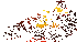 ս����ҫ�߱���v1.0 2026�ٷ����İ�