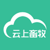 ��������app