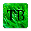 TinyBit������
