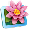 LilyViewͼ��