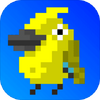 Bird(ͦ���ڰ�ɭ��)