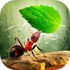 Little Ant Colony(С���ϲ���)ͼ��