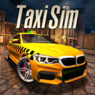 ⳵ģ2022(Taxi Sim 2022)