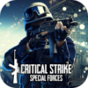 Critical strike Special Forces(Critical Strike CS Special Forces��Ϸ)