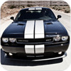 City Car Driving 2020: Challenger(2021�����������ʻ��ս��)