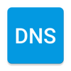DNSת����������