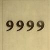 9999����������Ϸ